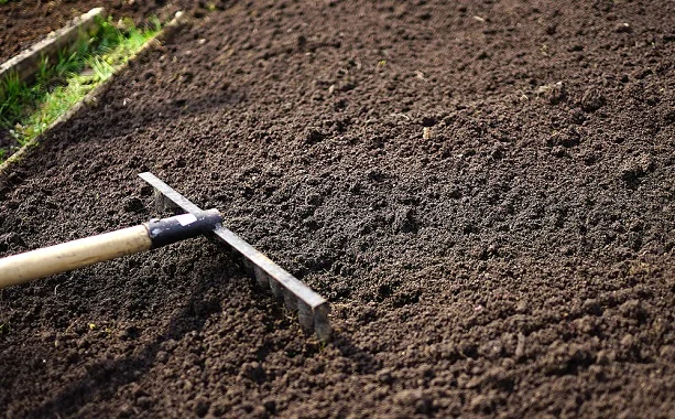 Top Soil